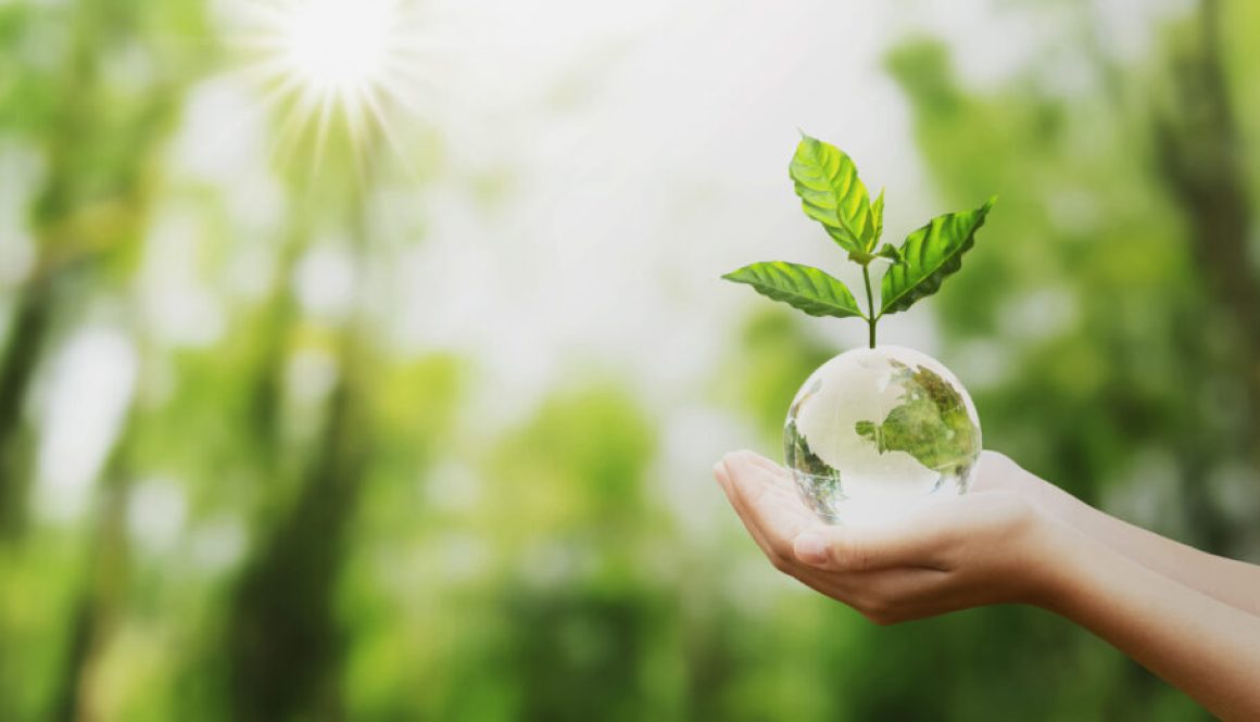 hand holding glass globe ball with tree growing and green nature