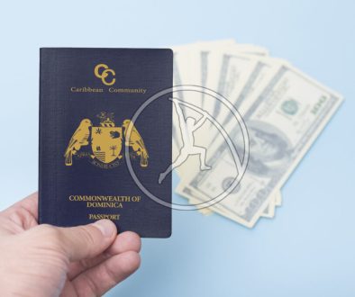 Red empty passport in the man's hand. Dollars. Blue background