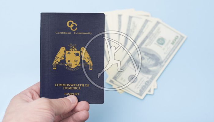 Red empty passport in the man's hand. Dollars. Blue background