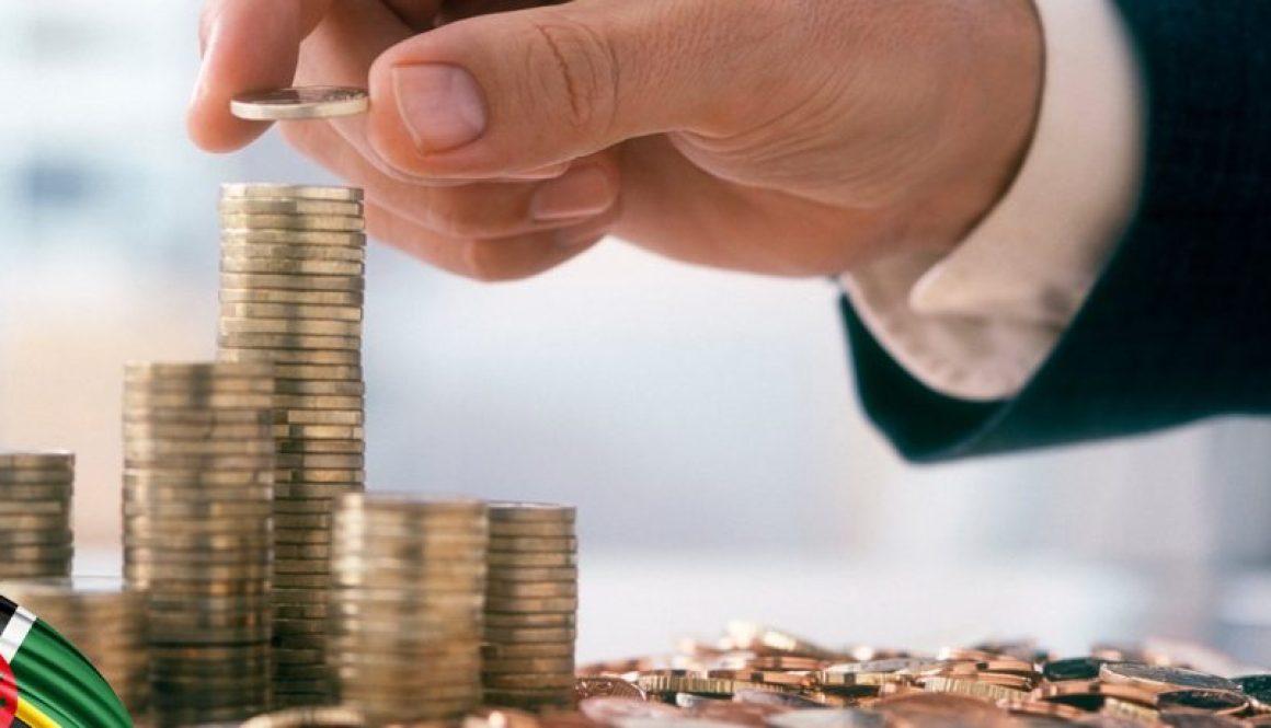 سرمایه گذاری در دومینیکا سرمایه گذاری در دومینیکا