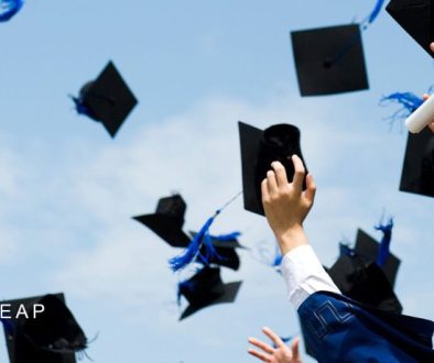 نظام آموزشی دومینیکا