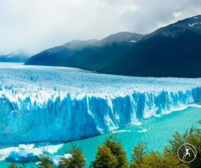 تنوع زیستی جنگل‌های دومینیکا